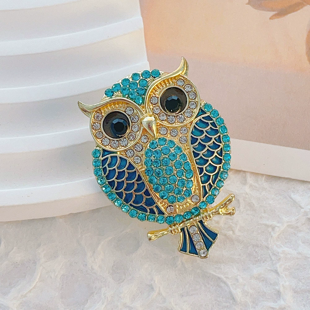 Owl Brooches for Women  Bird C - Women'S Accessories Categories 评论和价格