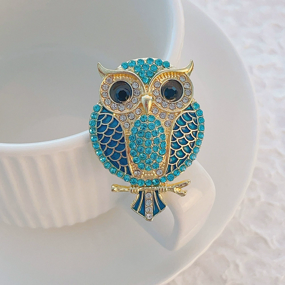 Owl Brooches for Women  Bird C - Women'S Accessories Categories 评论和价格